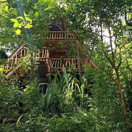 Eco Village Ella Eksteriør bilde
