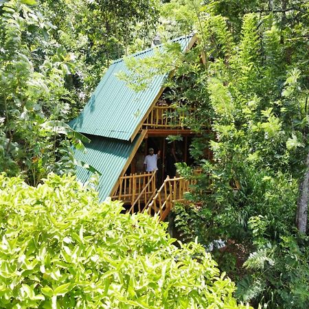 Eco Village Ella Eksteriør bilde