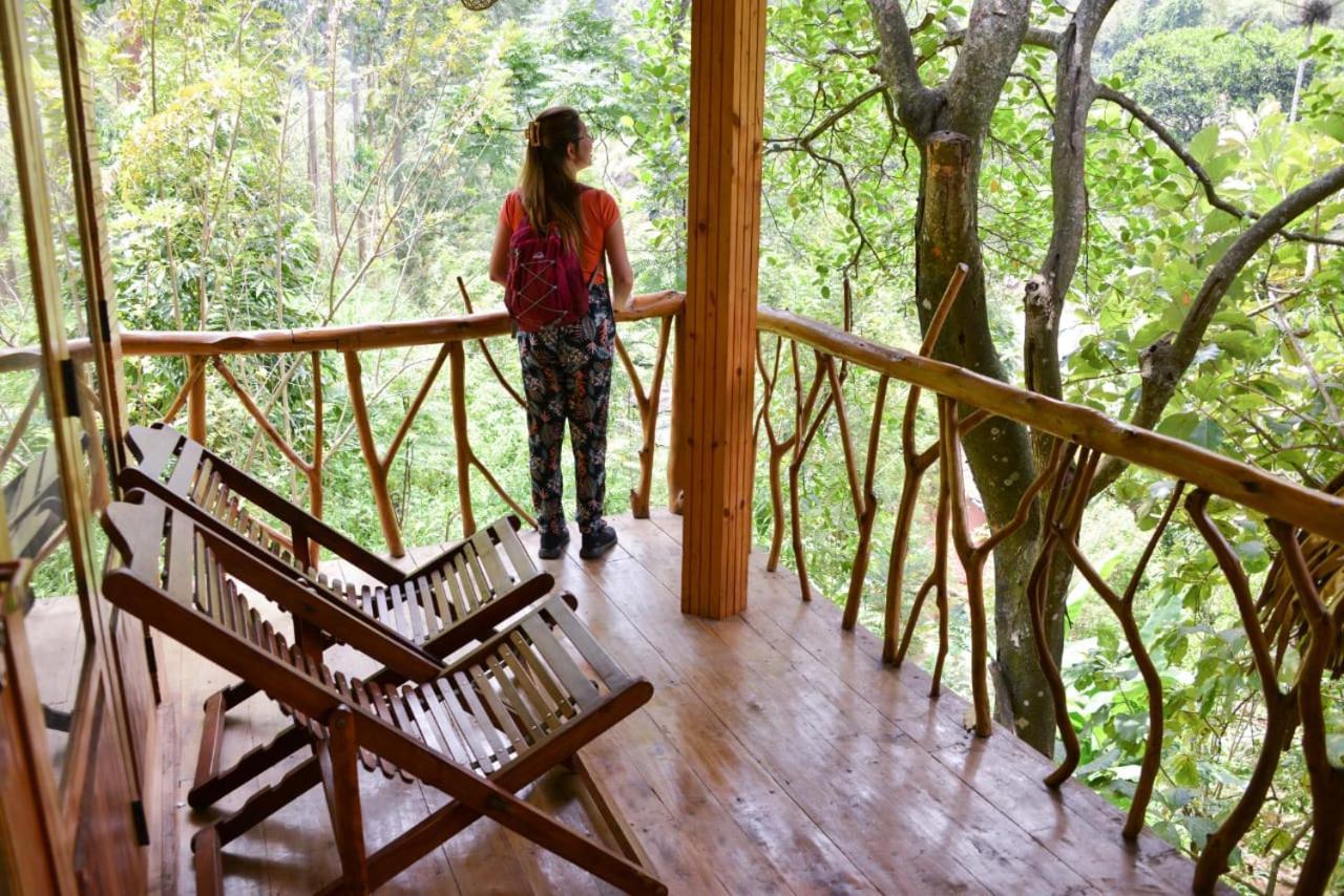 Eco Village Ella Eksteriør bilde